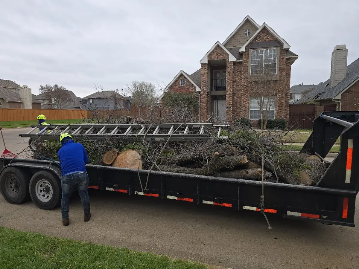 Expert Lot Clearing with proper safety equipment in Lake Odessa
